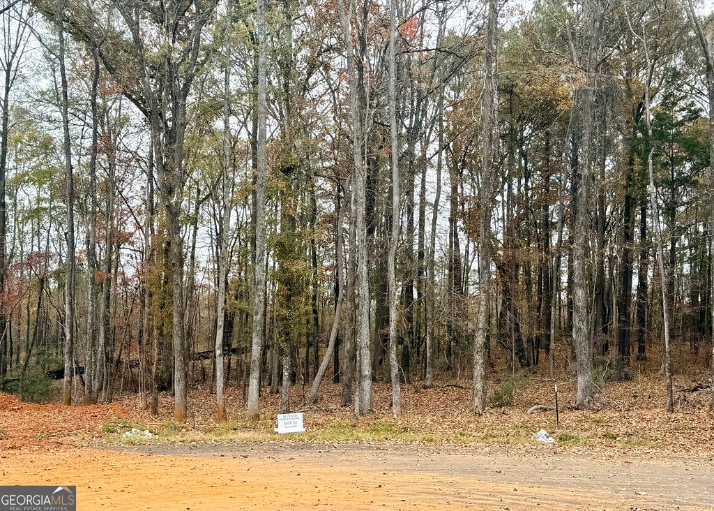 LOT 22 Rolling Meadows Way, Waverly Hall, GA 31831
