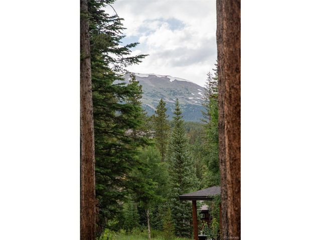 1100 Ski Hill Rd 36, Breckenridge, CO 80424