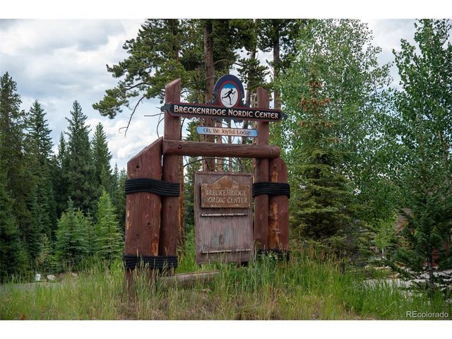 1100 Ski Hill Rd 36, Breckenridge, CO 80424