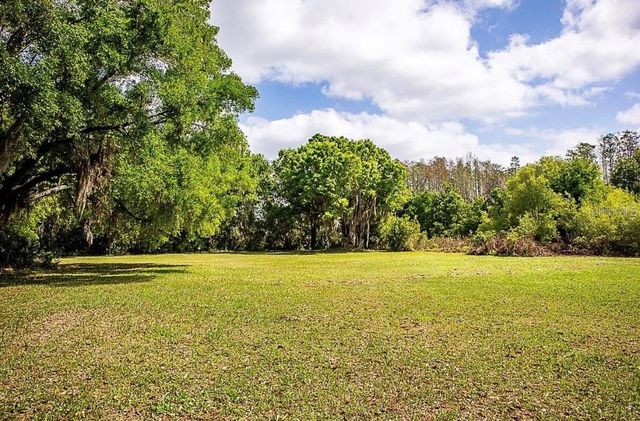 13815 PLAINVIEW ROAD Lot 1, Odessa, FL 33556