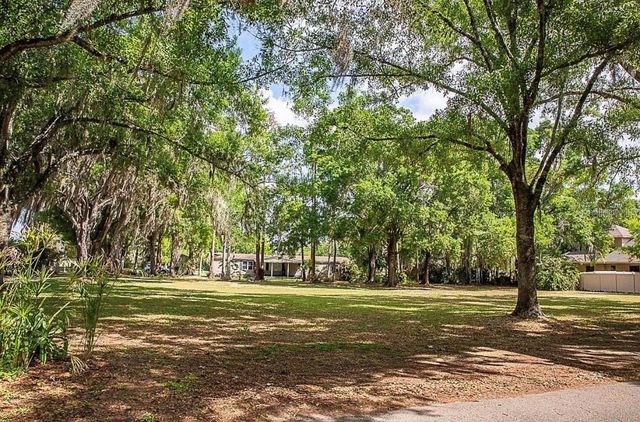 13815 PLAINVIEW ROAD Lot 1, Odessa, FL 33556