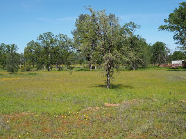 21752 Hidden Acres Road, Bella Vista, CA 96008