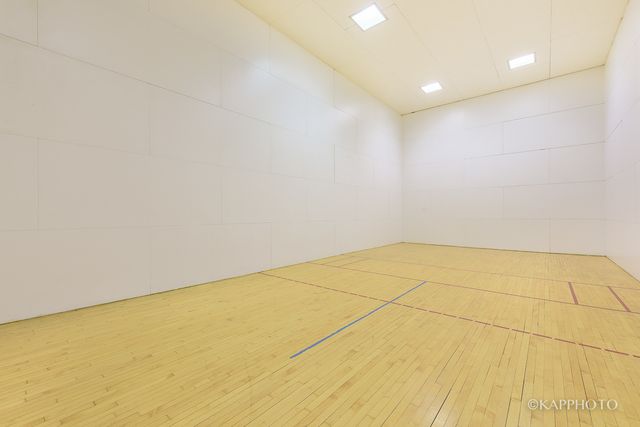 211 E Ohio Street 724, Chicago, IL 60611