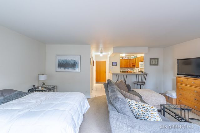 211 E Ohio Street 724, Chicago, IL 60611