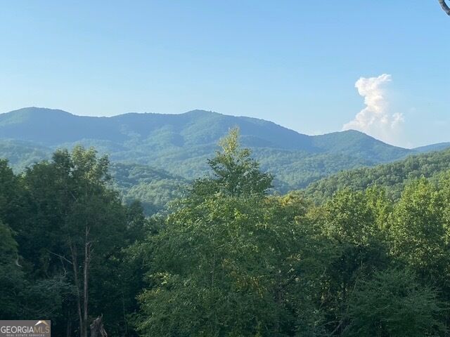 804 Settlers Ridge Road, Ellijay, GA 30540