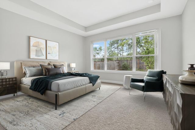 234 Butterfly Orchid Court, Conroe, TX 77318