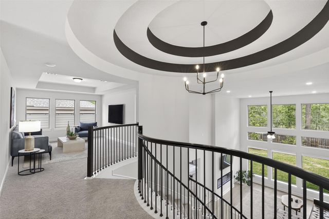 234 Butterfly Orchid Court, Conroe, TX 77318