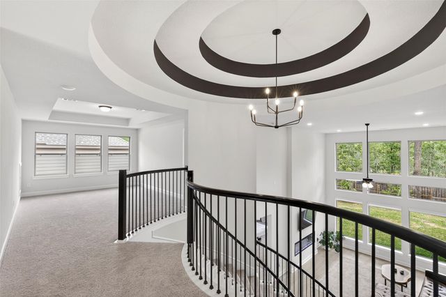 234 Butterfly Orchid Court, Conroe, TX 77318