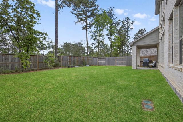 234 Butterfly Orchid Court, Conroe, TX 77318