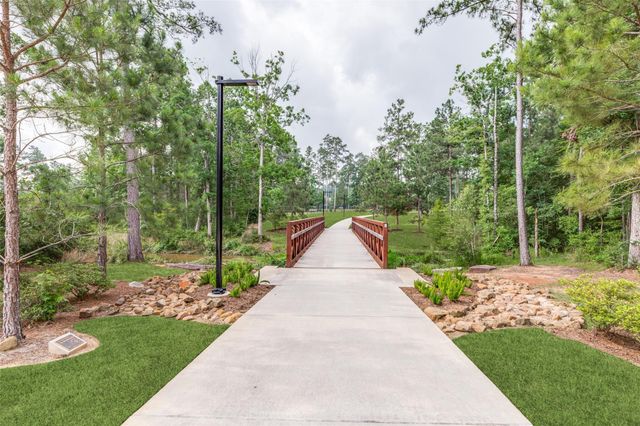 234 Butterfly Orchid Court, Conroe, TX 77318