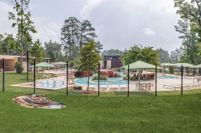 234 Butterfly Orchid Court, Conroe, TX 77318