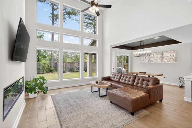 234 Butterfly Orchid Court, Conroe, TX 77318