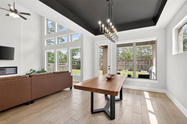 234 Butterfly Orchid Court, Conroe, TX 77318