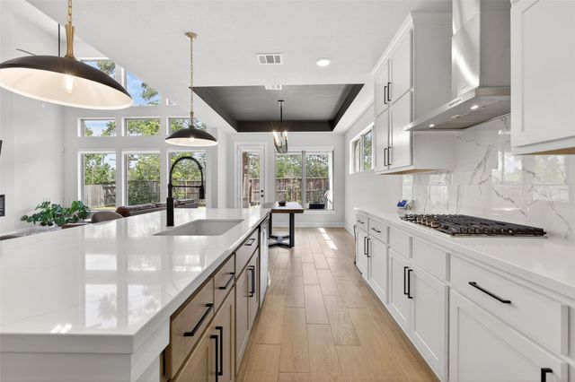 234 Butterfly Orchid Court, Conroe, TX 77318