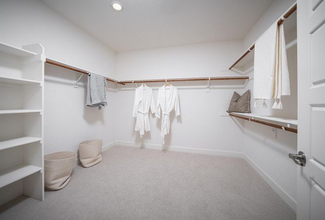 3942 Waterleaf Ave, Sacramento, CA 95835