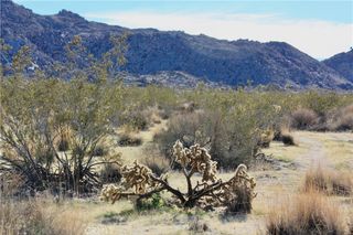 64647 Foothill Drive, Joshua Tree, CA 92252