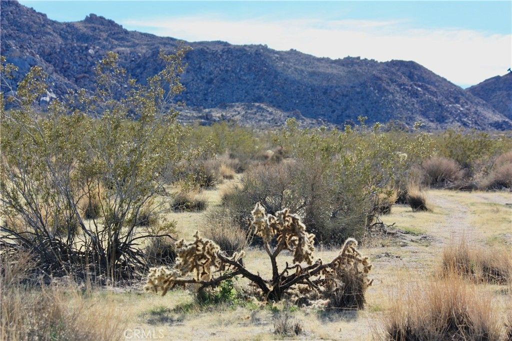 64647 Foothill Drive, Joshua Tree, CA 92252