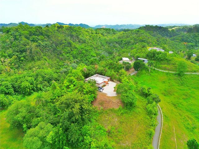 ST. 823 KM 1.1 BO. RIO LAJAS 1-A, Toa Alta, PR 00953