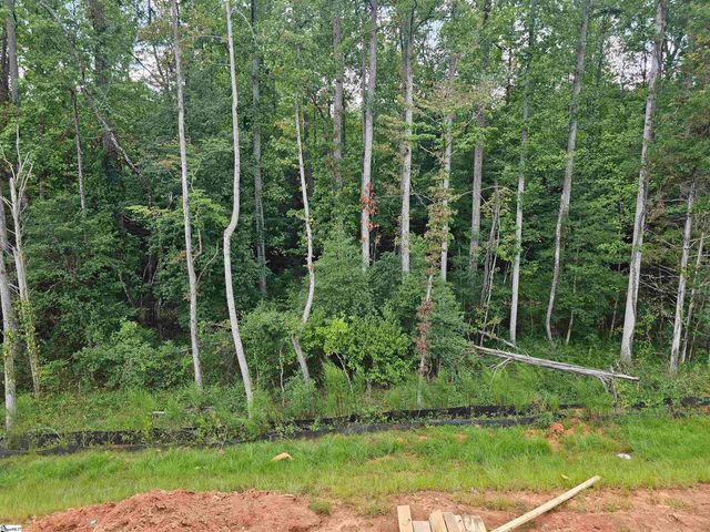 12 Criss Drive Lot 96, Piedmont, SC 29673