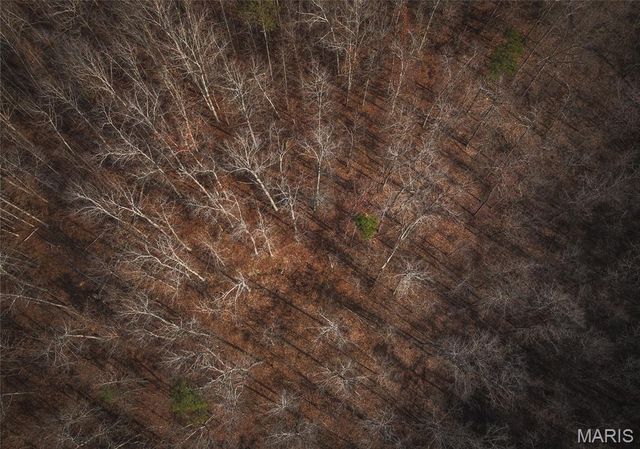 59723 Highway 21, Ellington, MO 63638