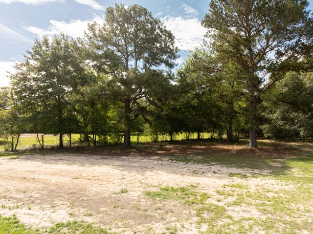 310 Michelle Street, Eutawville, SC 29048