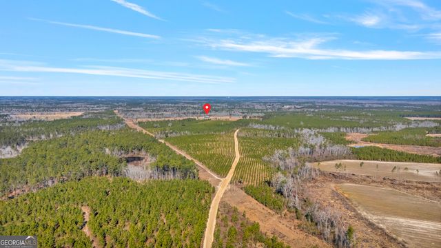 1039 Womack Road N, Garfield, GA 30425
