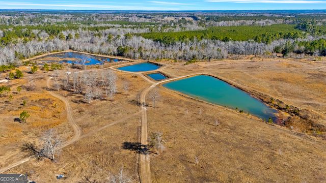 1039 Womack Road N, Garfield, GA 30425