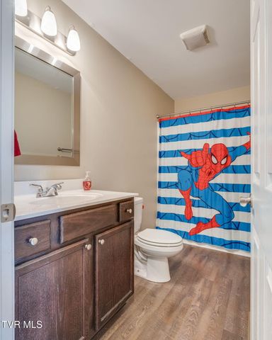 425 Manchester Place -, Bristol, TN 37620