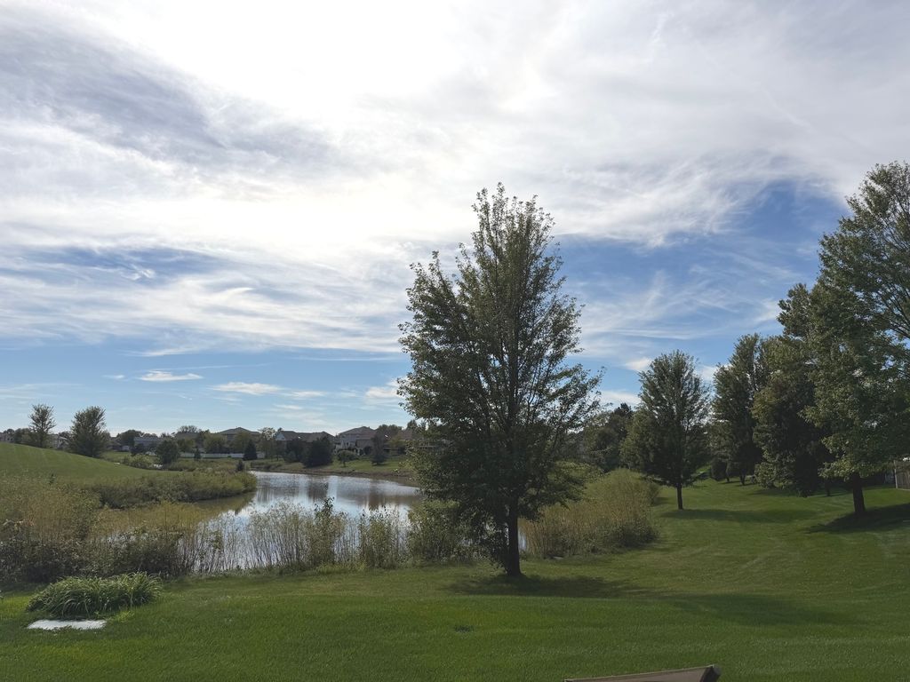 19339 Lisadell Drive, Tinley Park, IL 60487 — photo 5