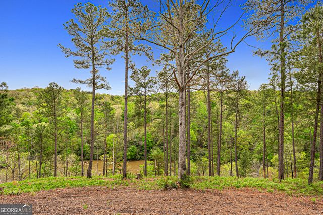630 Human Road, Bowman, GA 30624
