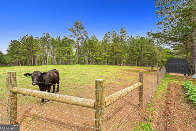 630 Human Road, Bowman, GA 30624
