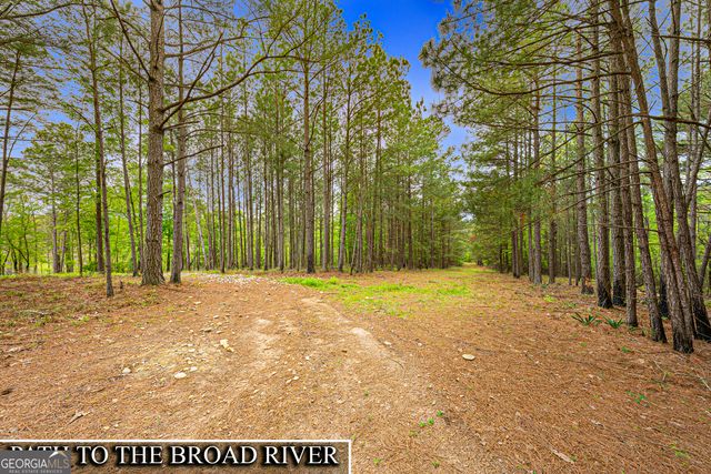 630 Human Road, Bowman, GA 30624