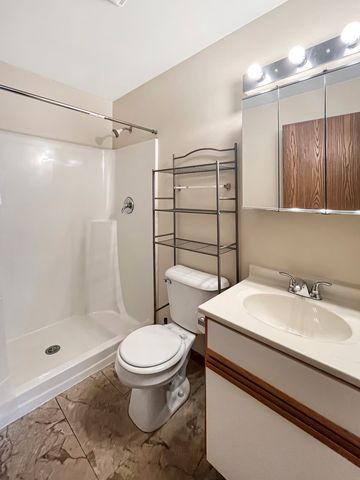 1524 W Sand Bar Court 2C, Round Lake, IL 60073