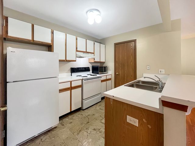 1524 W Sand Bar Court 2C, Round Lake, IL 60073