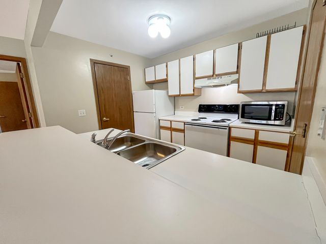 1524 W Sand Bar Court 2C, Round Lake, IL 60073