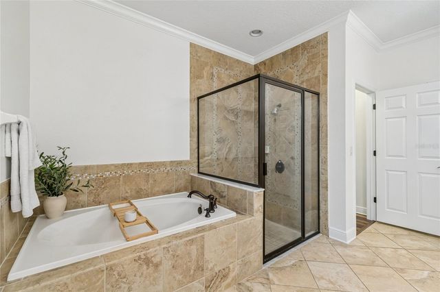 1657 FEATHER GRASS LOOP, Lutz, FL 33558