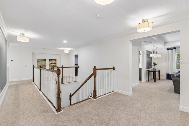 1657 FEATHER GRASS LOOP, Lutz, FL 33558