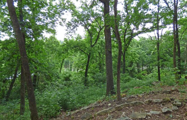 1 Minentonka Drive, Cherokee Village, AR 72529