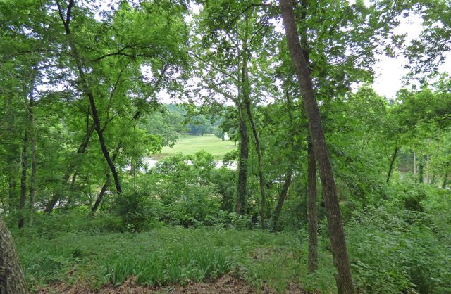 1 Minentonka Drive, Cherokee Village, AR 72529