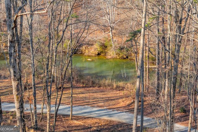 699 Cobblestone Lane, Demorest, GA 30535