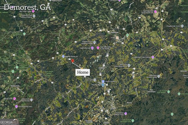 699 Cobblestone Lane, Demorest, GA 30535