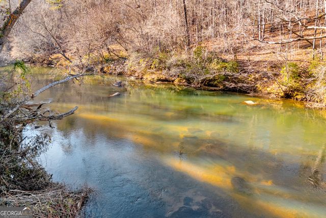 699 Cobblestone Lane, Demorest, GA 30535