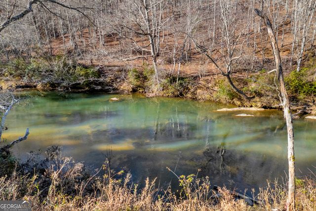 699 Cobblestone Lane, Demorest, GA 30535