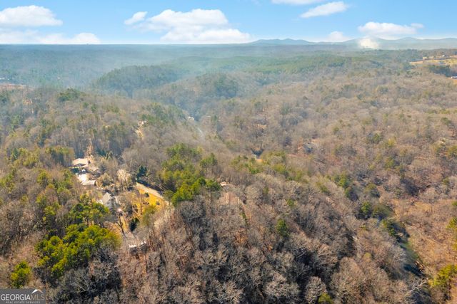 699 Cobblestone Lane, Demorest, GA 30535