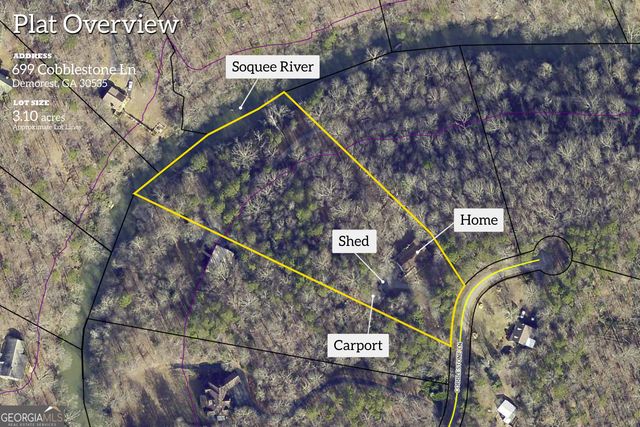 699 Cobblestone Lane, Demorest, GA 30535