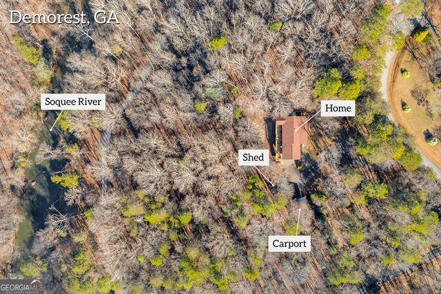 699 Cobblestone Lane, Demorest, GA 30535