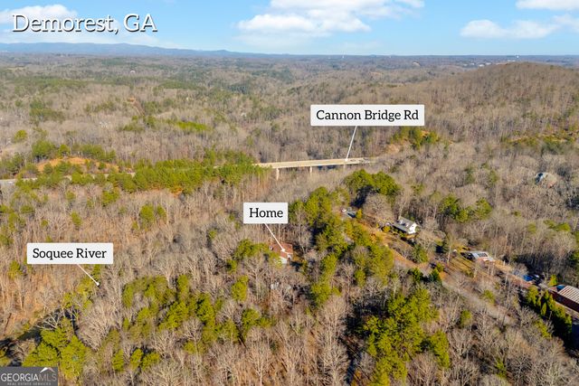 699 Cobblestone Lane, Demorest, GA 30535