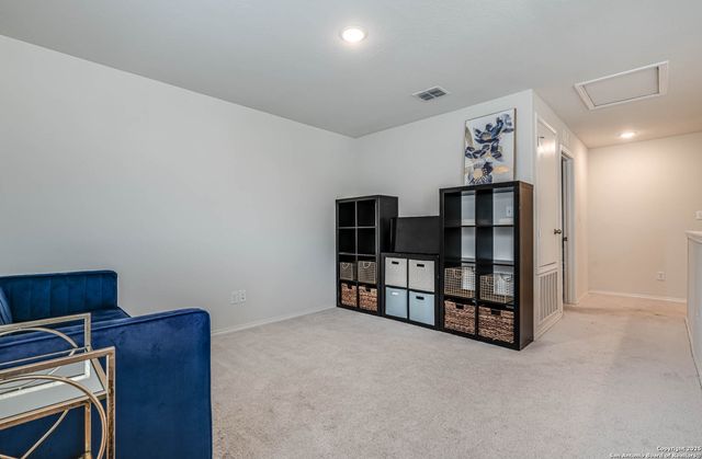 519 wild olive, San Antonio, TX 78219