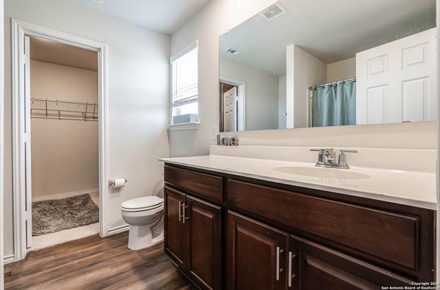 519 wild olive, San Antonio, TX 78219