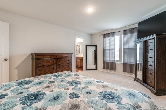 519 wild olive, San Antonio, TX 78219